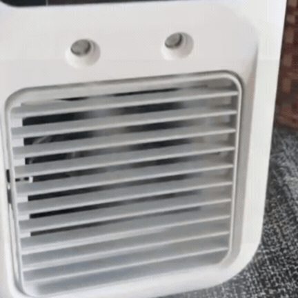 Ventilator Portabil 2în1