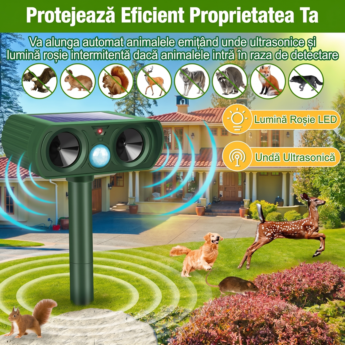 Aparat cu Ultrasunete Electronic pentru Animale