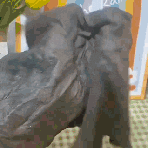 Laveta Magica din Microfibra (set de 5 bucati)