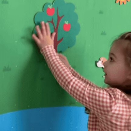 Jucărie Educațională Montessori Animale de Fermă din Pâslă