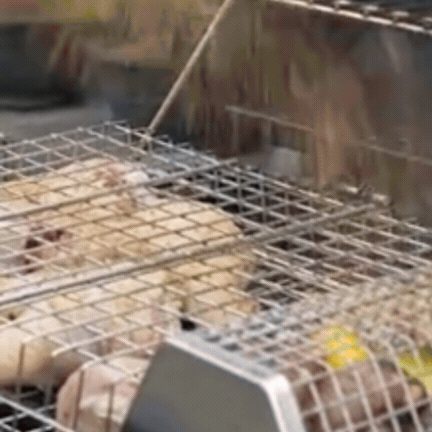 Suport Grill pentru Grătar