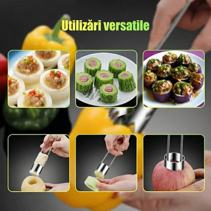 Extractor de Semințe din Oțel Inoxidabil