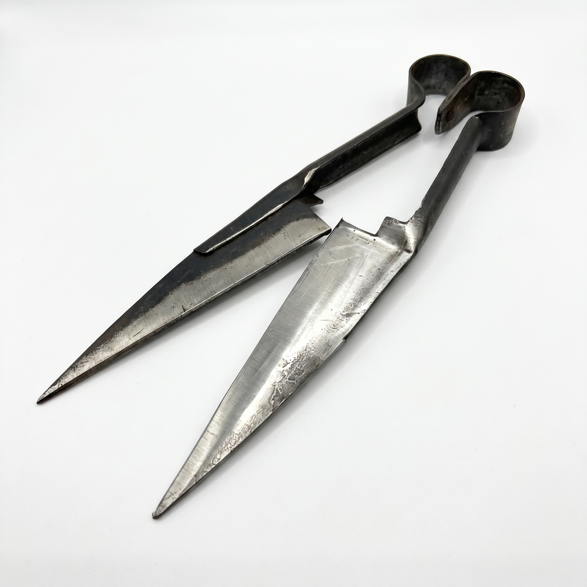 Foarfecă pentru Tunsul Oilor
