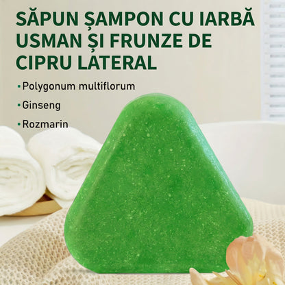 Șampon Solid 3-în-1