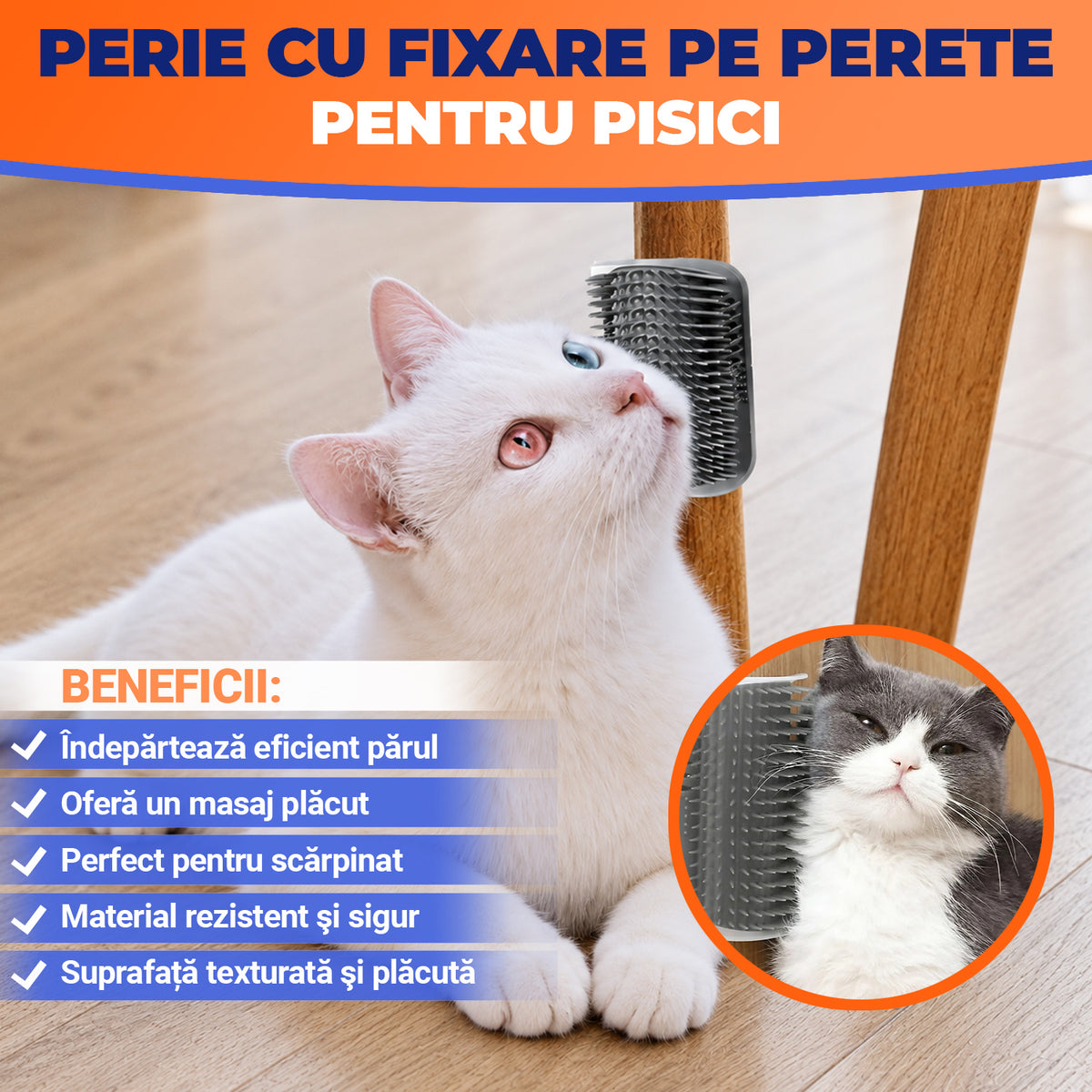 Kit Pisica Fericită